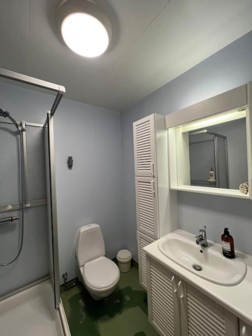 Cozy Apartment In Seydisfjordur Seyðisfjörður エクステリア 写真
